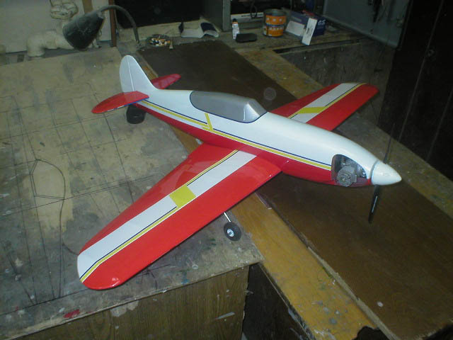 ARF_low_wing_trainer_p40_120cm